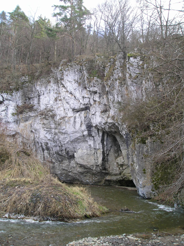 Moravian Karst - typical landscape with the sink of surface water  into the underground 
