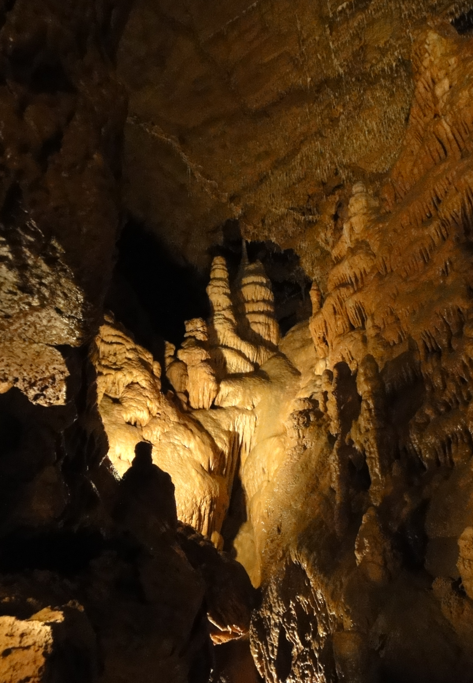 Speleothem decoration in the Punkva Caves (Masaryk´s dome)